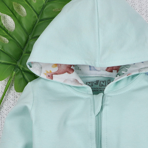 ABN-5576 Sudadera para niños Dino Explorer Nini - algodón orgánico, corte cómodo