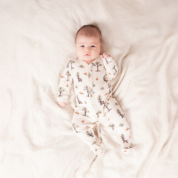 218031 Pijama de algodón Oso Yogui Nicol - estampado bosque, manga larga