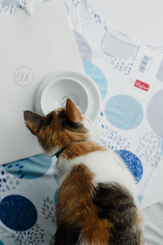 860 Camisón Amelia De Lafense - manga corta, viscosa suave - turquesa