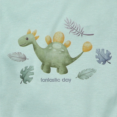 ABN-5566 Dino Explorer body algodón orgánico Nini menta algodón orgánico, manga larga