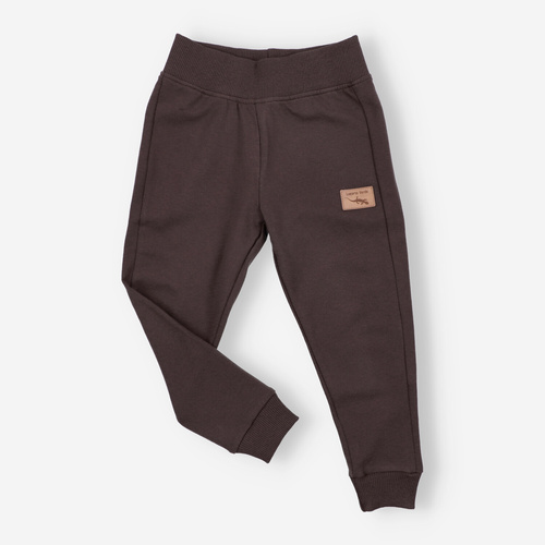 KAR-0040/BRA Pantalón de chándal para niño Lagarto Verde chocolate - cómodo, algodón, producción polaca