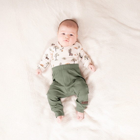 218016 Oso Yogi Nicol pantalón de algodón - acanalado, verde