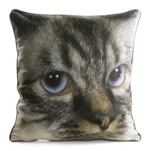 Funda Animal 45x45 terciopelo Eurofirany con cremallera cat