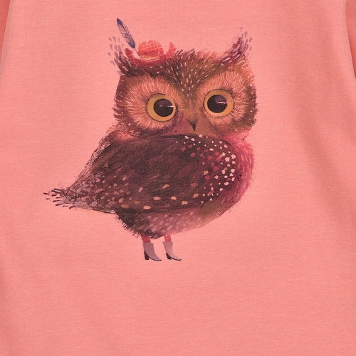 KAR-3001 Blusa de manga larga para niña Lagarto Verde salmón - elegante, algodón, producción polaca