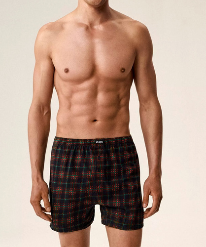 Calzoncillos bóxer 2GMB-013 Calzoncillos bóxer de algodón para hombre verde atlántico-azul en caja de 2 unidades