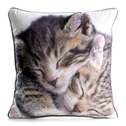 Funda Animal 45x45 terciopelo Eurofirany con cremallera cat