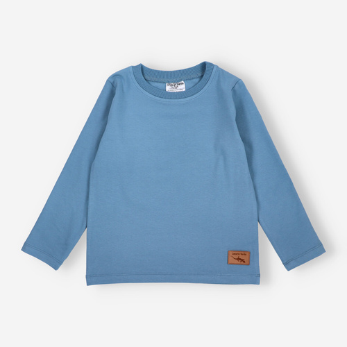 KAR-1022 Blusa de manga larga para niño Lagarto Verde azul - algodón con elastano, producción polaca