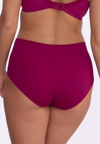 Braguitas de mujer Mariana GFP 1384 Gaia Chianti de talle alto bordadas