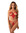Cuerpo