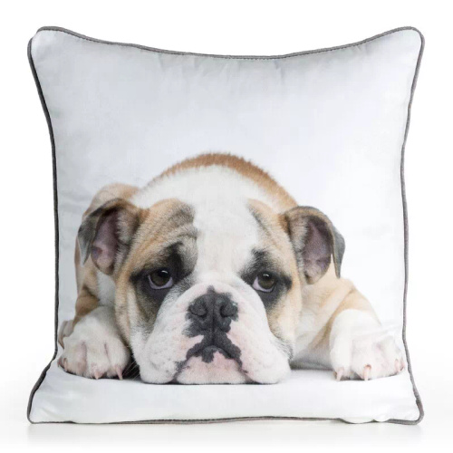 Funda Animal 45x45 terciopelo Eurofirany con cremallera buldog