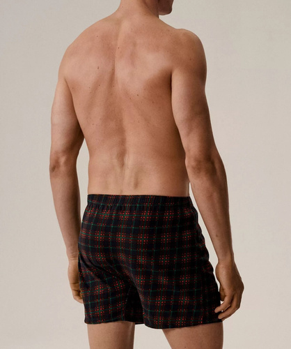 Calzoncillos bóxer 2GMB-013 Calzoncillos bóxer de algodón para hombre verde atlántico-azul en caja de 2 unidades