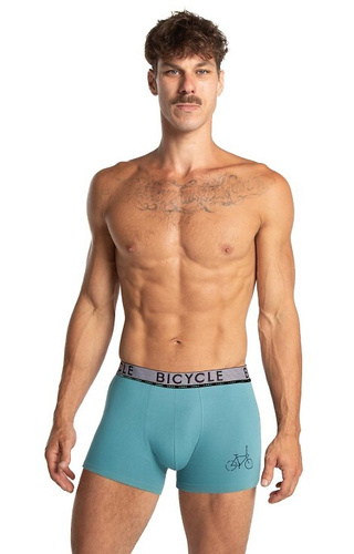 M-1064 Calzoncillos bóxer para hombre Lama negro-menta - algodón, entallados, estampado bici, 2 unidades
