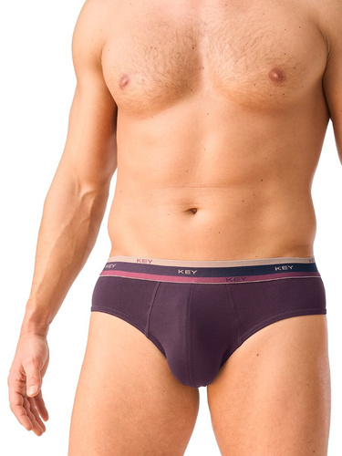 Slips para hombre Key MPP 273 B26 de algodón ajustados con cinturilla ancha